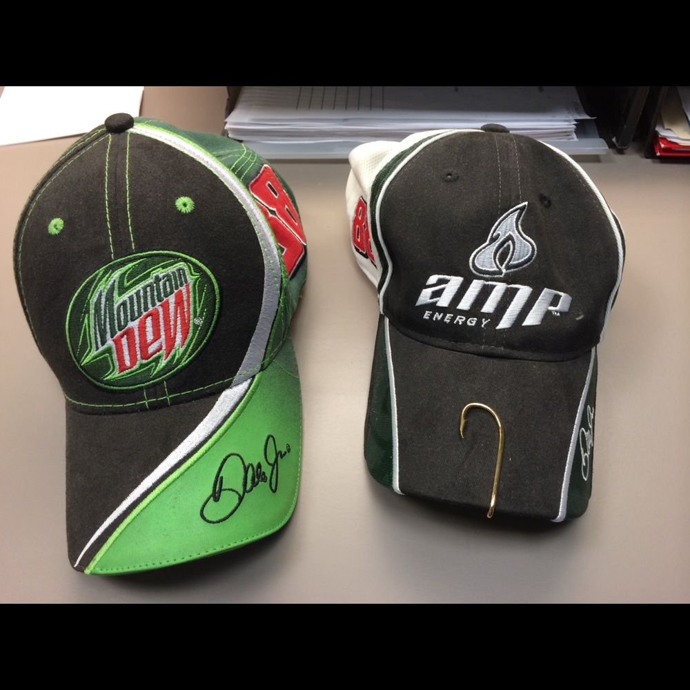 Dale Earnhardt items